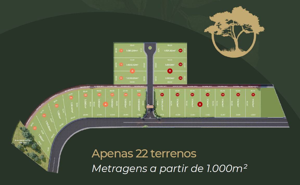 Planta